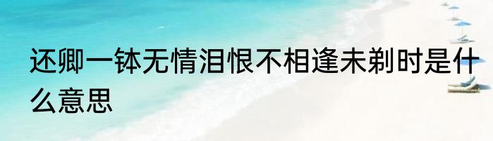 还卿一钵无情泪恨不相逢未剃时是什么意思