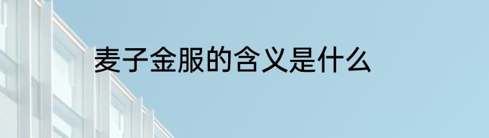 麦子金服的含义是什么