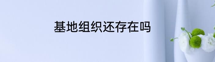 基地组织还存在吗