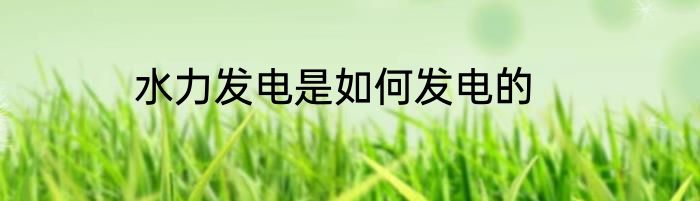 水力发电是如何发电的