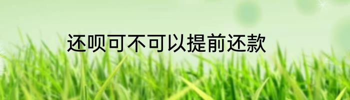 还呗可不可以提前还款