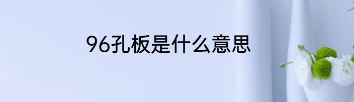96孔板是什么意思