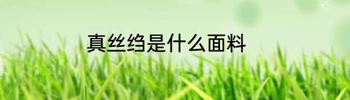 真丝绉是什么面料