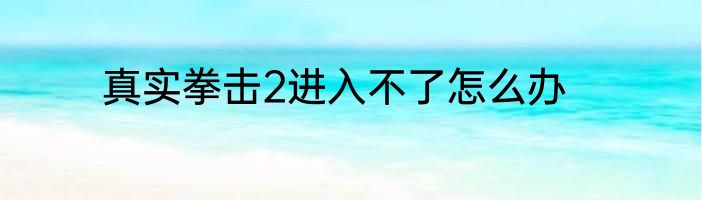 真实拳击2进入不了怎么办