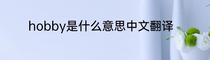 hobby是什么意思中文翻译