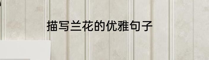 描写兰花的优雅句子
