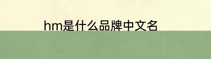 hm是什么品牌中文名