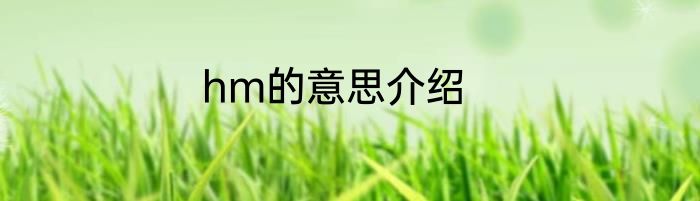 hm的意思介绍