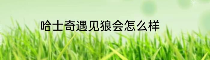 哈士奇遇见狼会怎么样
