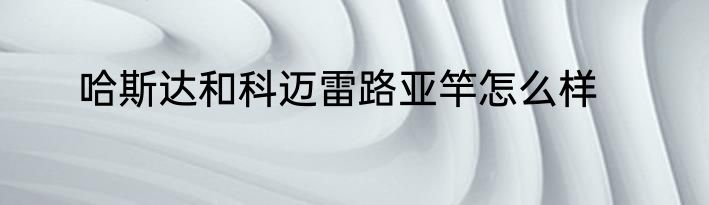 哈斯达和科迈雷路亚竿怎么样
