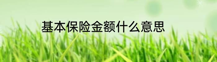基本保险金额什么意思