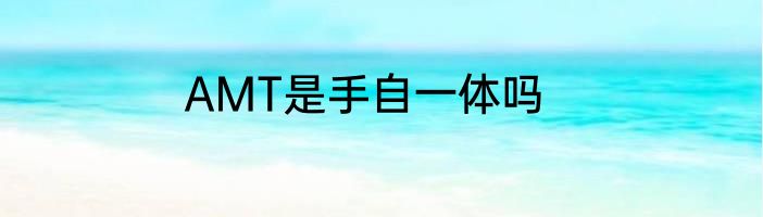AMT是手自一体吗
