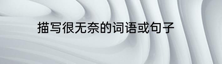 描写很无奈的词语或句子