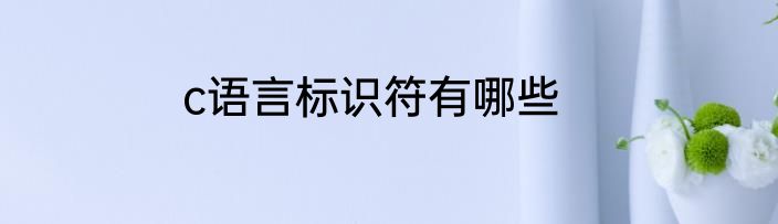 c语言标识符有哪些