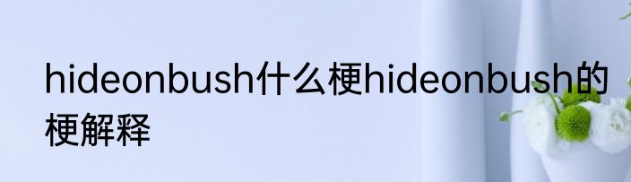 hideonbush什么梗hideonbush的梗解释