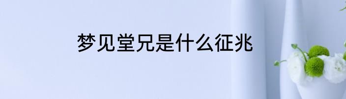 梦见堂兄是什么征兆