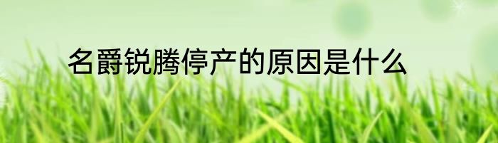 名爵锐腾停产的原因是什么