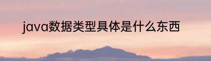 java数据类型具体是什么东西