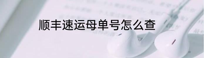 顺丰速运母单号怎么查