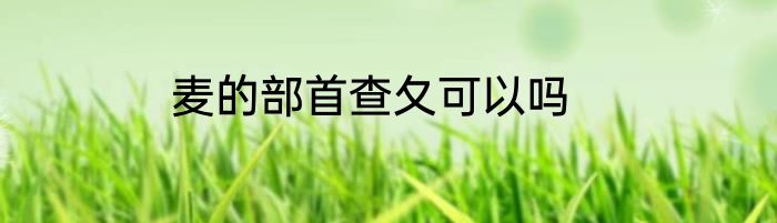 麦的部首查夂可以吗