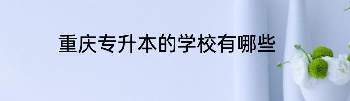 重庆专升本的学校有哪些