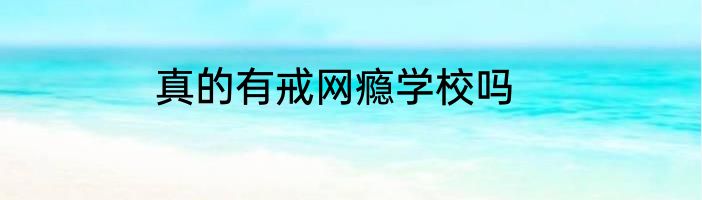 真的有戒网瘾学校吗