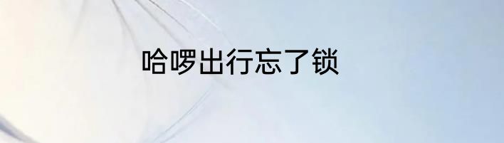 哈啰出行忘了锁