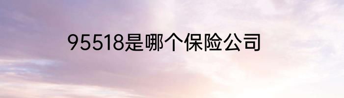 95518是哪个保险公司