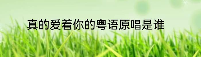 真的爱着你的粤语原唱是谁