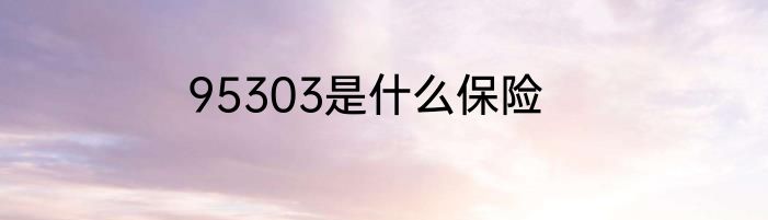 95303是什么保险