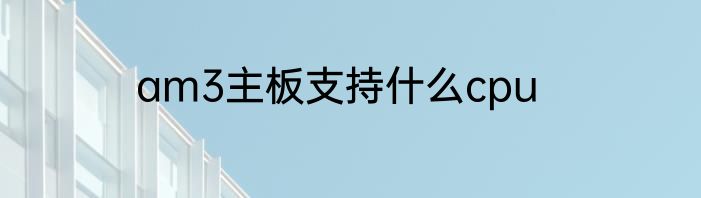 am3主板支持什么cpu