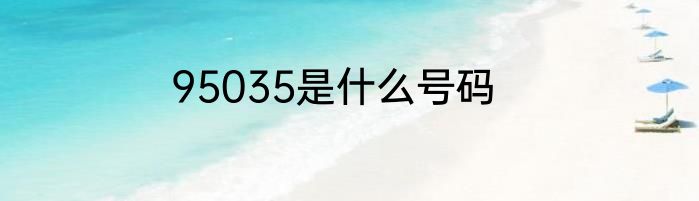 95035是什么号码