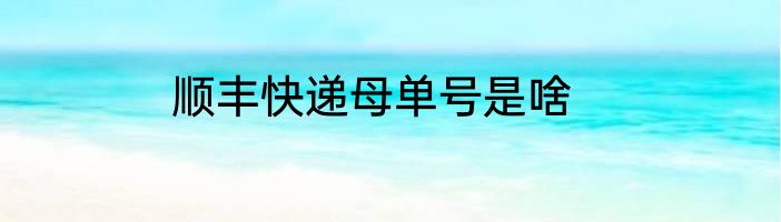 顺丰快递母单号是啥