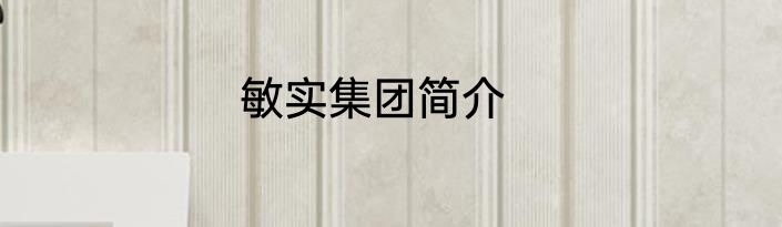 敏实集团简介