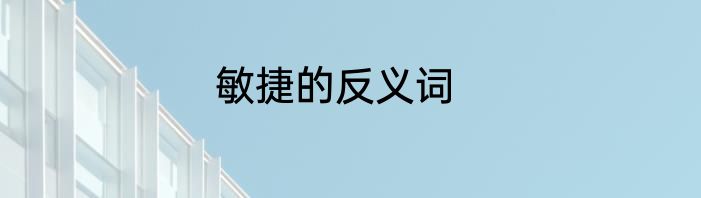 敏捷的反义词