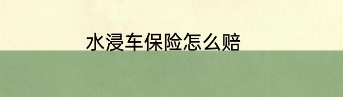 水浸车保险怎么赔