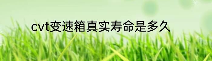 cvt变速箱真实寿命是多久