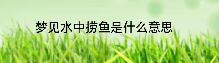 梦见水中捞鱼是什么意思