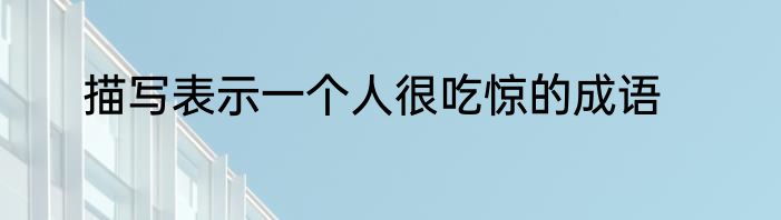 描写表示一个人很吃惊的成语