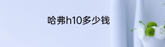 哈弗h10多少钱