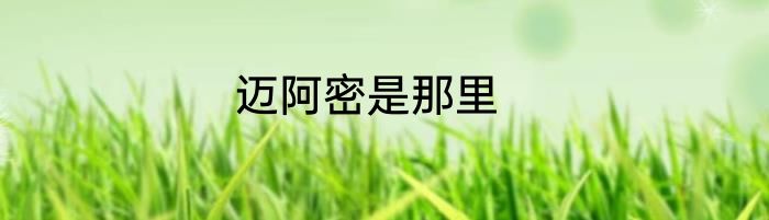 迈阿密是那里