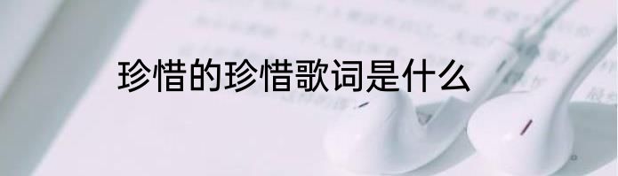 珍惜的珍惜歌词是什么