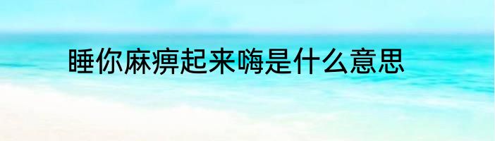 睡你麻痹起来嗨是什么意思