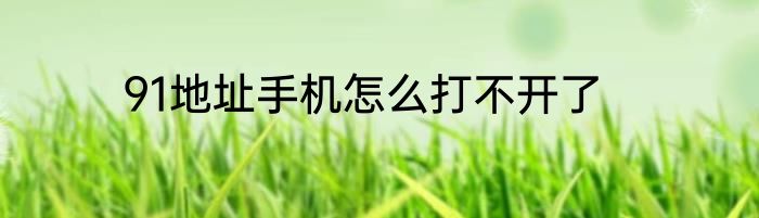 91地址手机怎么打不开了