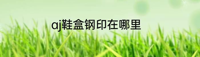 aj鞋盒钢印在哪里