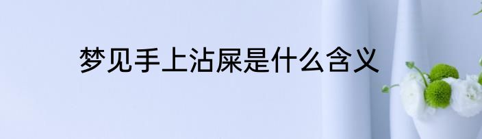梦见手上沾屎是什么含义