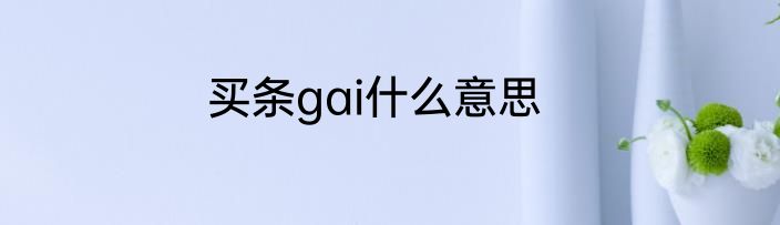 买条gai什么意思
