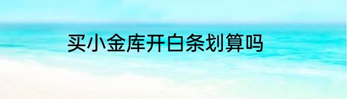 买小金库开白条划算吗