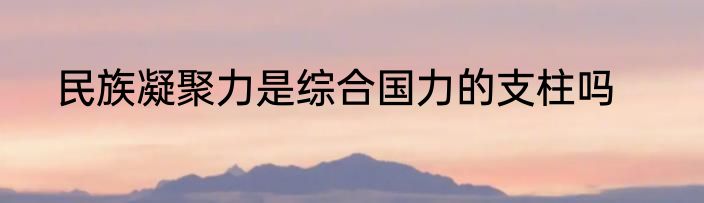 民族凝聚力是综合国力的支柱吗