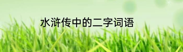 水浒传中的二字词语